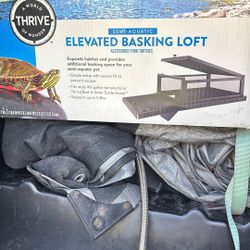 Turtle Loft