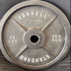 45lb Weight Plates 