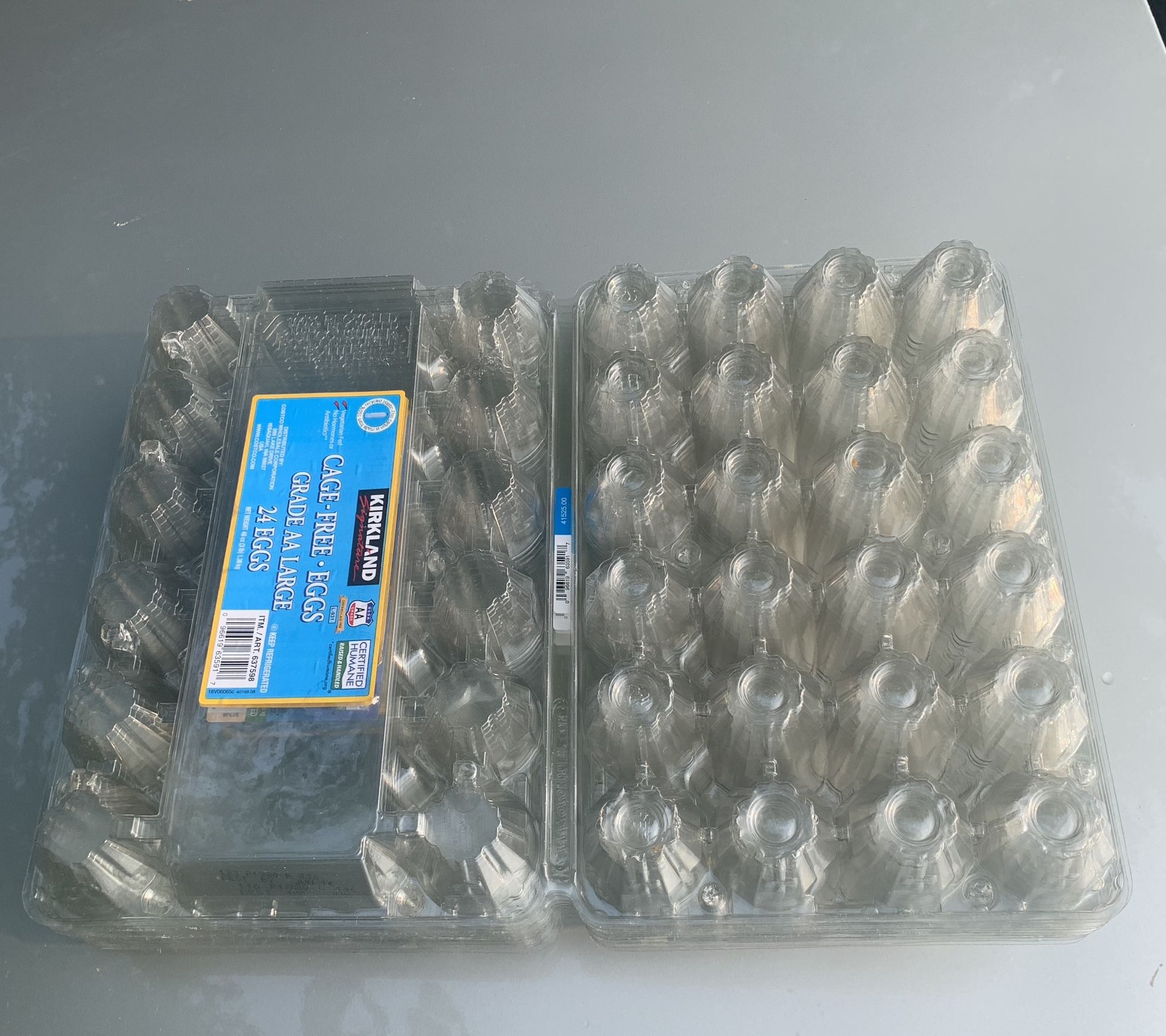 15 Two Dozen Clear Egg Carton
