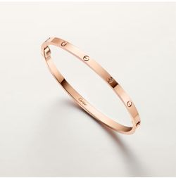 Cartier love bracelet small version size 17