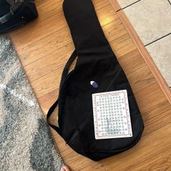 Guitar bag With Chords And Pics