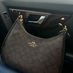 Coach Teri Hobo Bag 
