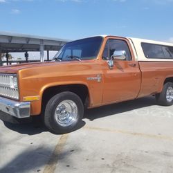 1981 Chevrolet C/K 10 Series