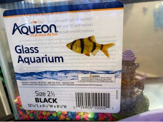 Small fish tank