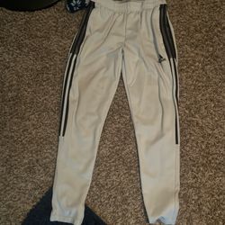 Adidas Pants