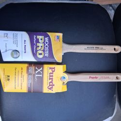 Professional Paint Brushes