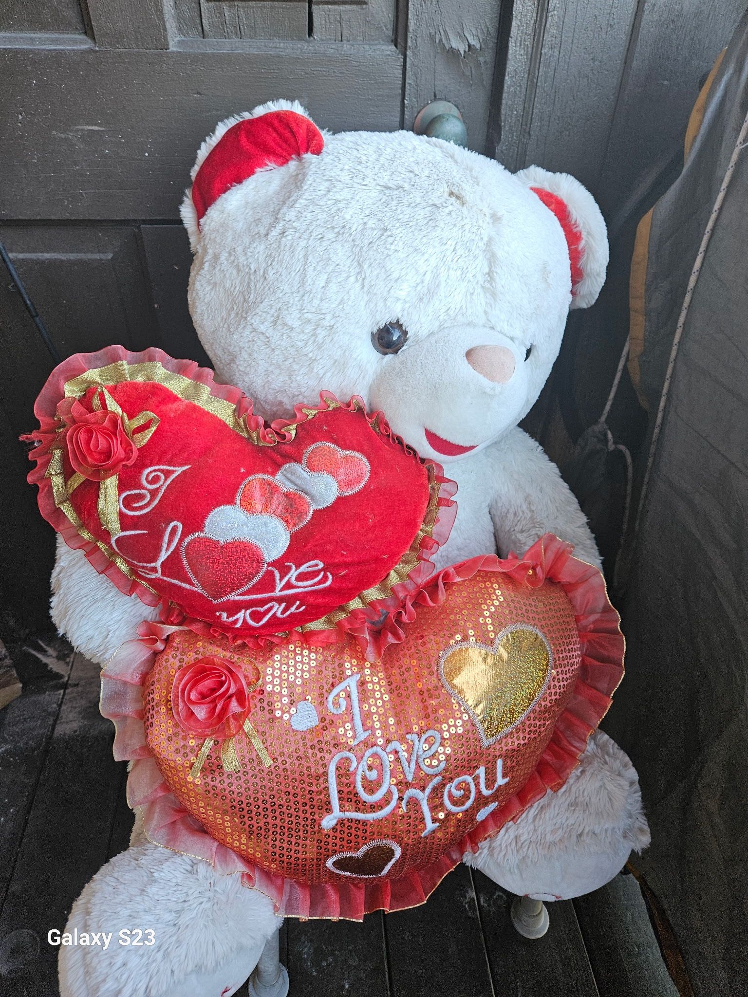 Teddy Bear