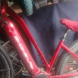 NGN E450 STEP THROUGH Engine-lab COMMUTER BIKE - RED/White