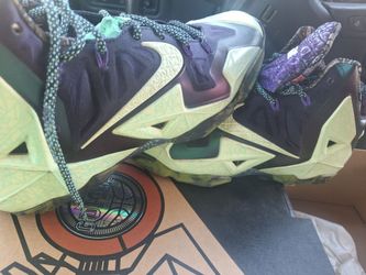 LeBron James shoes