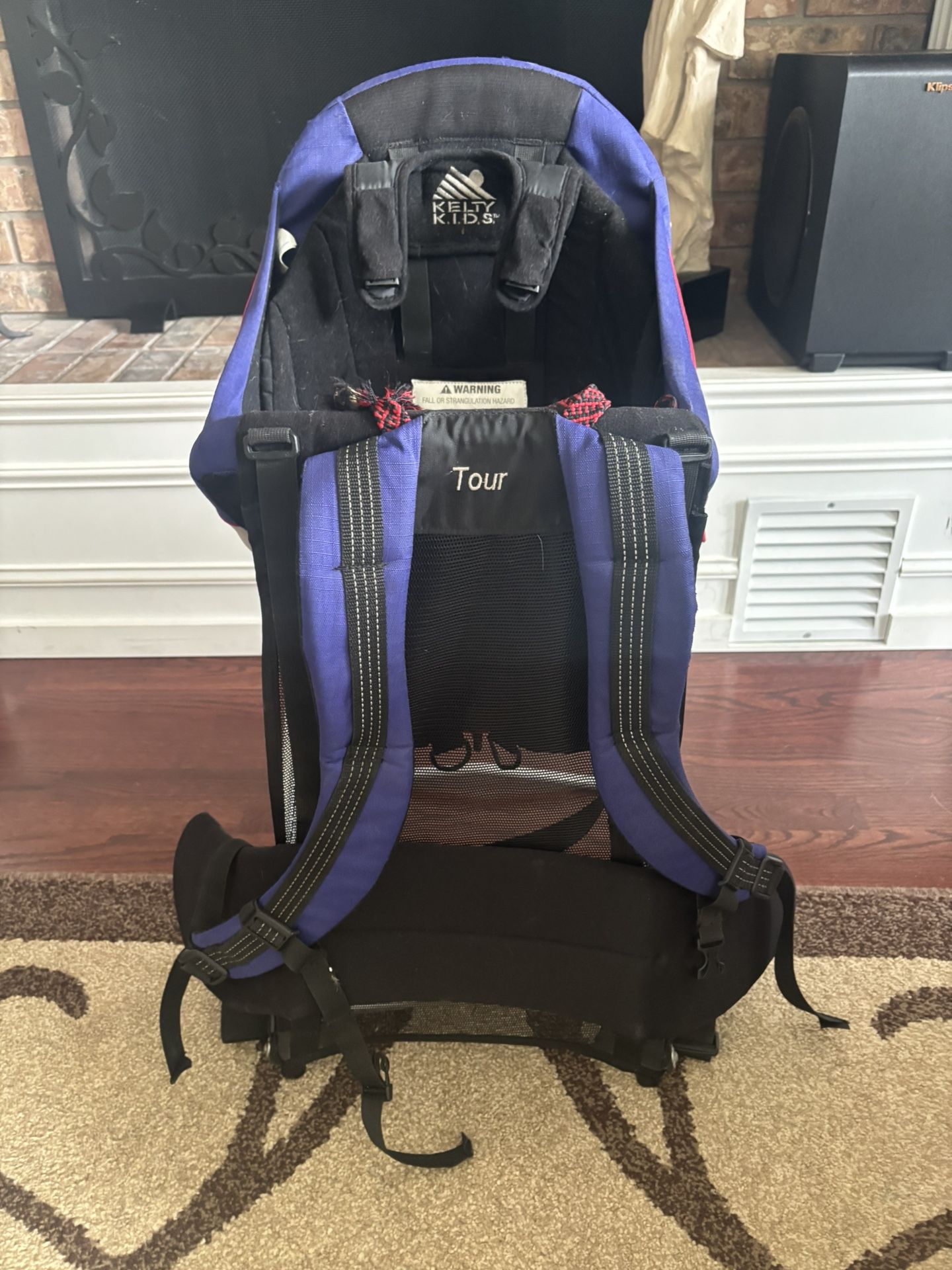 Kelty Kids Backpack Carrier
