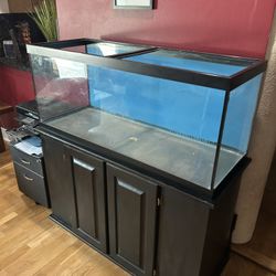 75 Gallon Fish Tank With Stand 