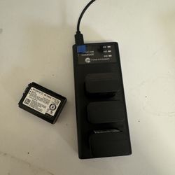 NP-FW50 4 Batteries And Charger