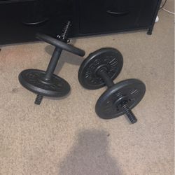 Two 20 Pound Dumbbells  