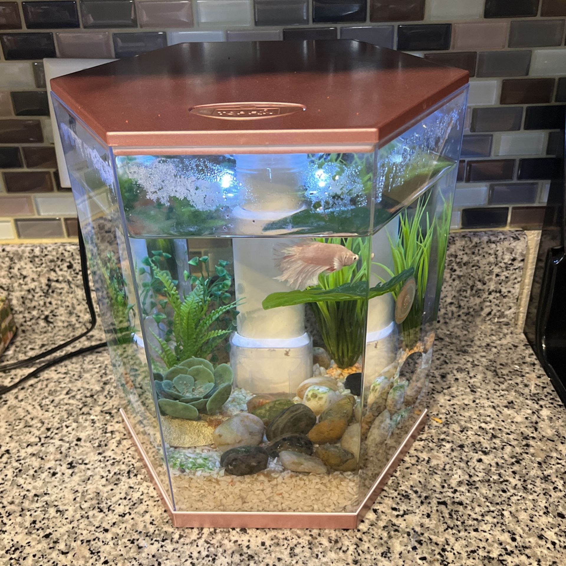 Rose gold fish tank hot sale