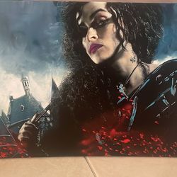 Harry Potter Bellatrix Wrapped Canvas 