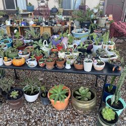 Plants yard Sale 10/26