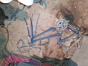 Schwinn World Sport