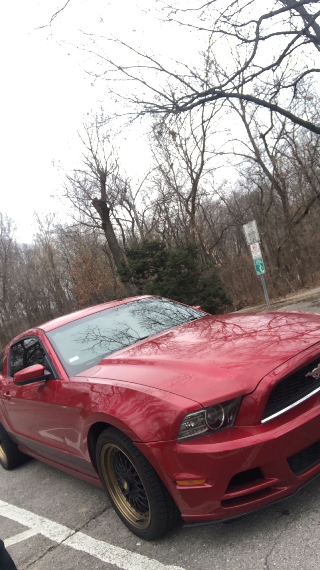 2013 Ford Mustang