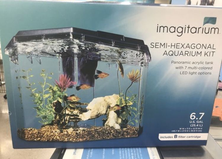 Hexagon aquarium