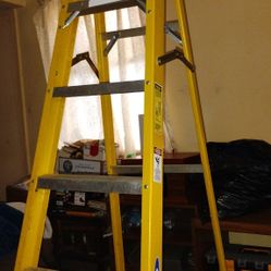 Werner 6ft Ladder