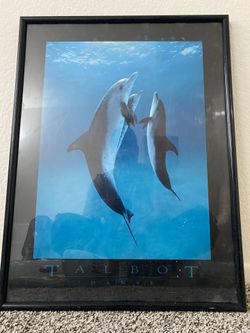 Danse des Dauphins, 1989 by Bob Talbot - 18 X 24 Inches (Art Print)