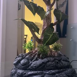 Chameleon Tree Water Dripper