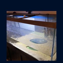 180 Gallon Fish Tank