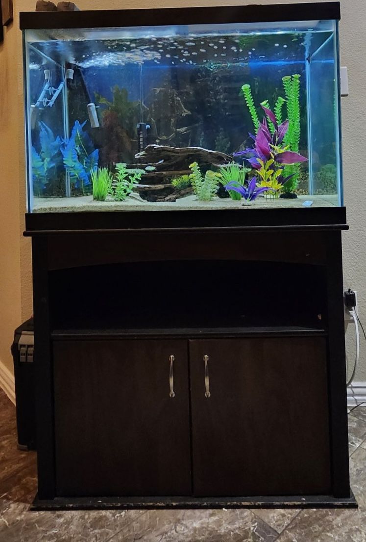 Fish Tank and Filter