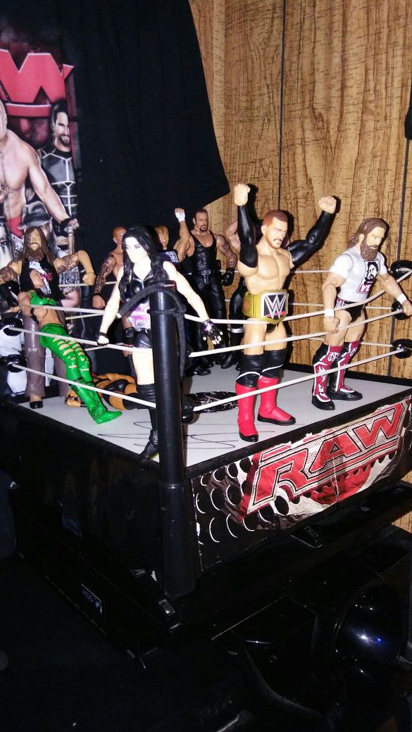 Wwe figures and ring sign by shamus