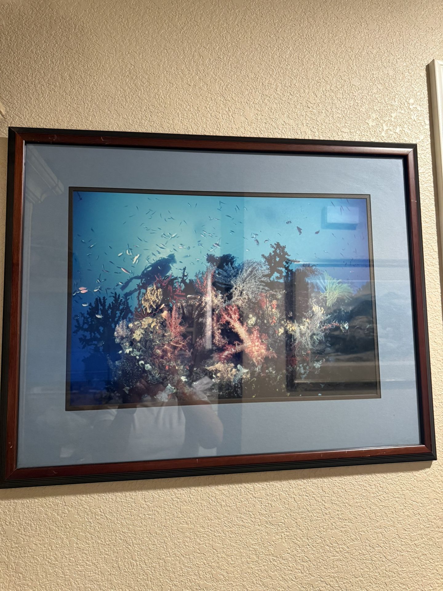 ocean photograph