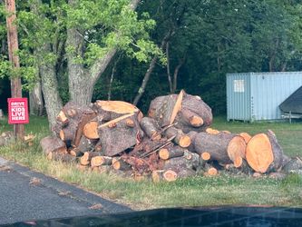 FREE WOOD