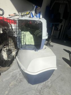 Cat Littler And Crate