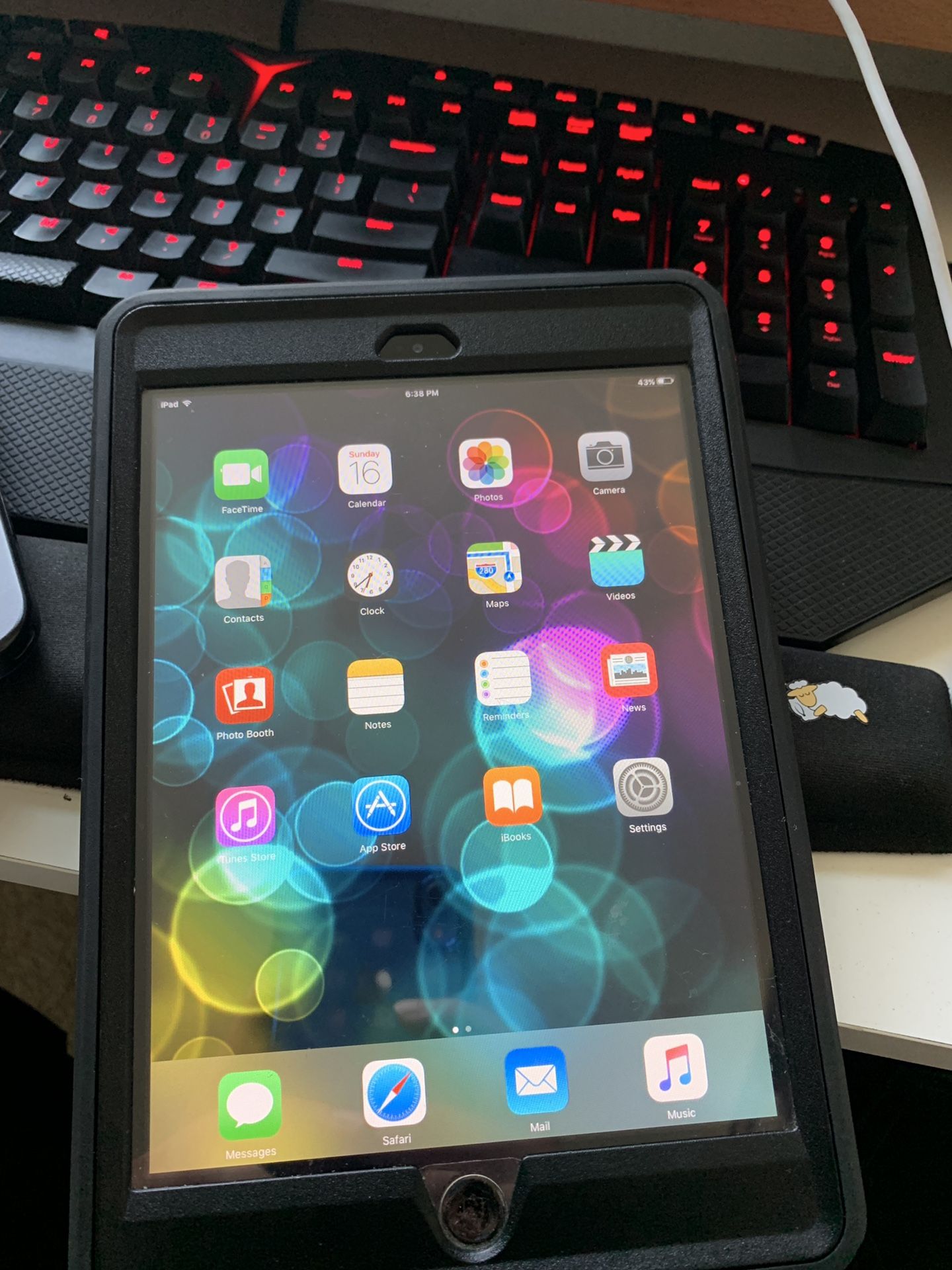 iPad Mini with Otterbox Case