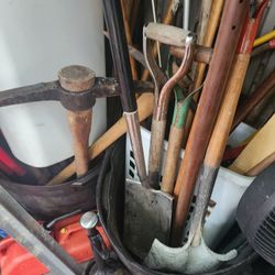 Palas Picos Like New Make Offer