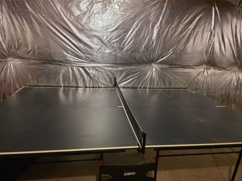 ESPN Ping Pong Table