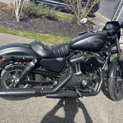 2016 Harley Davidson XL883