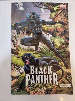 Black Panther Graphic Novel