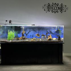 150 Gallon acrylic aquarium