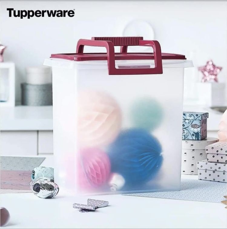Tupperware varias especiales