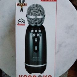 Microphone 🎤 Wireless 