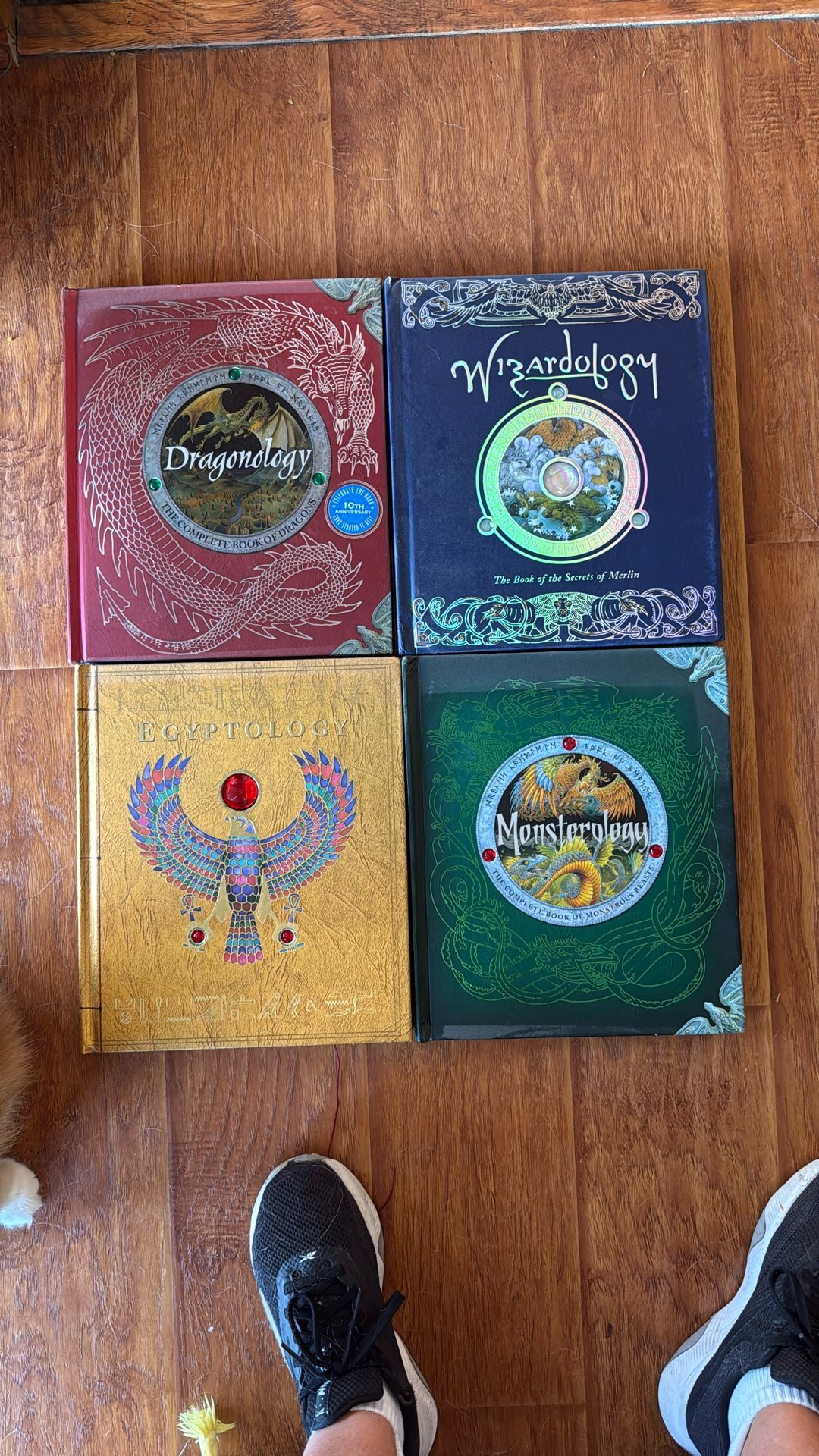 Dragonology Wizardology And More