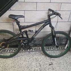 Mountain Bike 