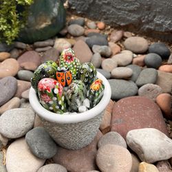 Cactus 🌵 Pot Made From River Rocks