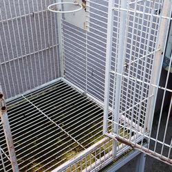 Bird And Pet Cages