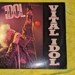 Billy idol Records