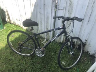Used Diamond Back Edgewood