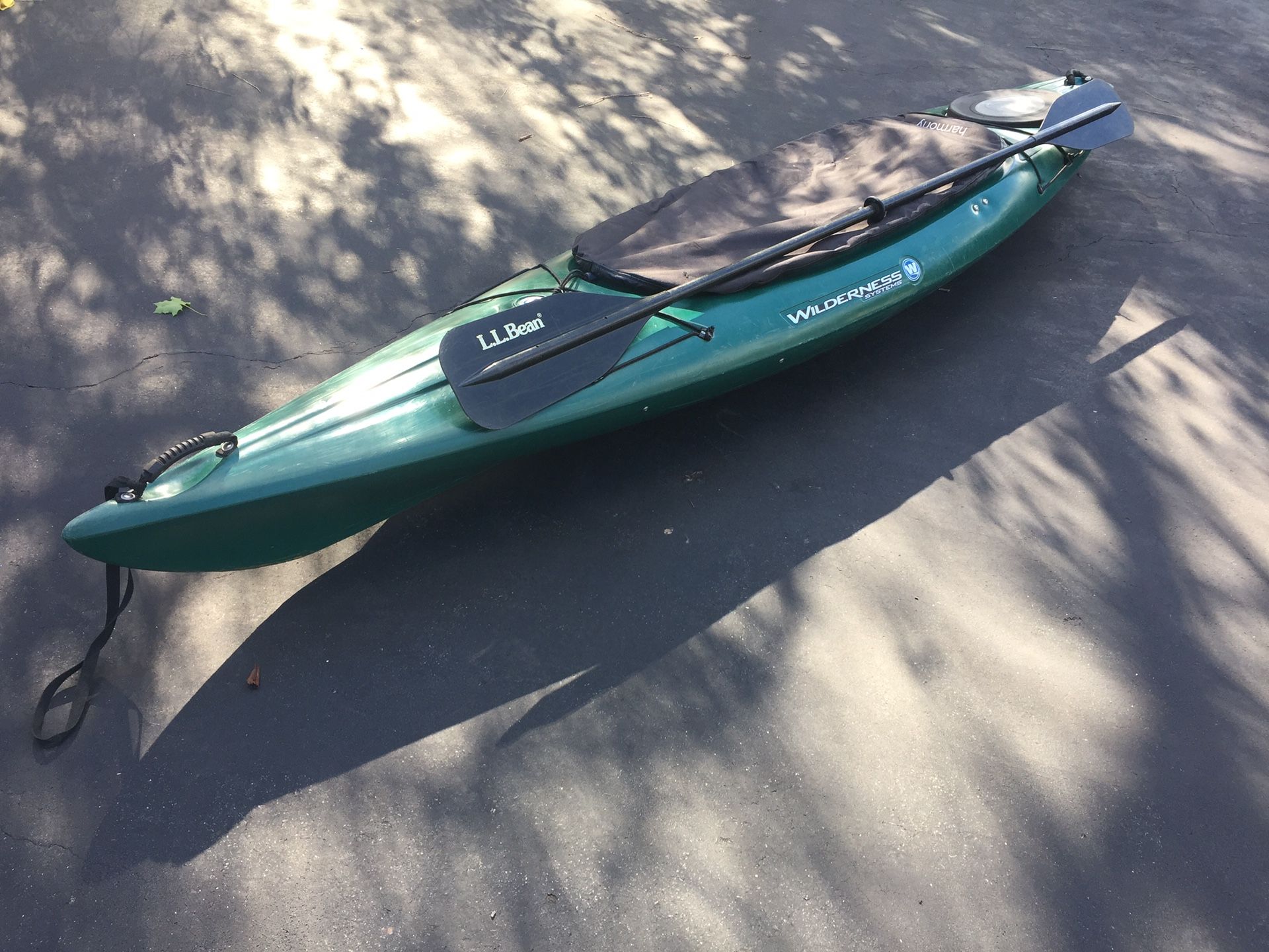 Wilderness Systems Pungo 120 Kayak with LL Bean paddle and a cockpit cover. Repaired small crack. $375