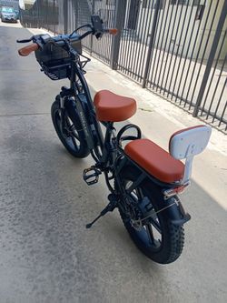 Ridstar electric bike