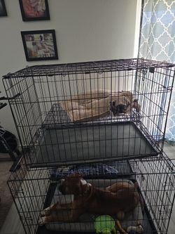 Dog cage