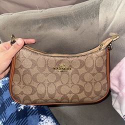 Brown Coach Purse